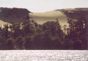 116kd2a-duna-pohled z Nilu (Egypt)
