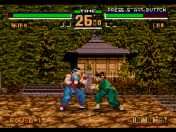 Virtua Fighter
